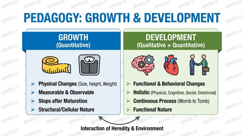 Growth & Development - Concepts, Principles & Stages - Apedia