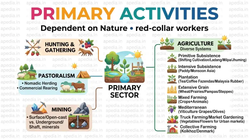 Primary Activities - Apedia
