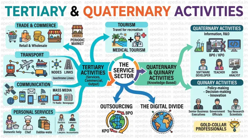 Tertiary and Quaternary Activities - Apedia